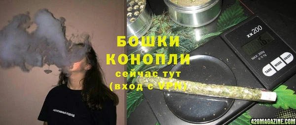 PSILOCYBIN Абаза