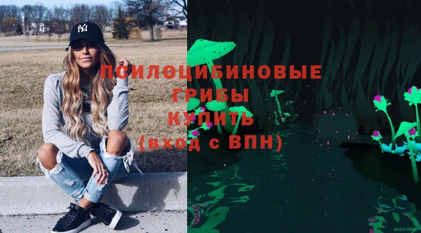 PSILOCYBIN Абаза