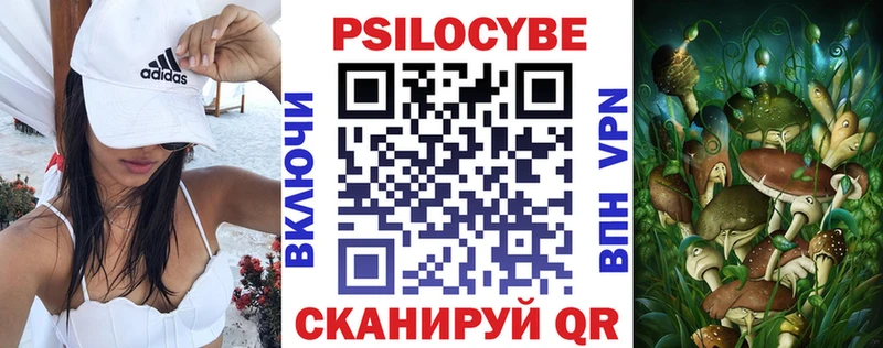 mega ССЫЛКА  Александров  Псилоцибиновые грибы Cubensis 